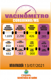 Vacinômetro