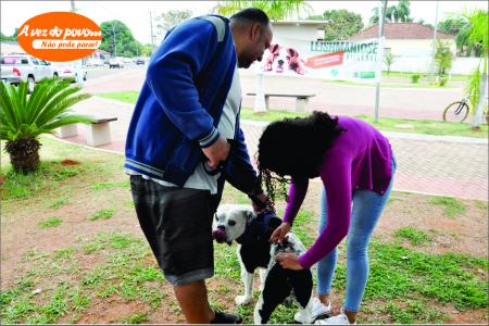 Vigilância vacina cães e gatos contra raiva