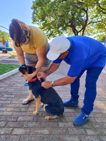 Dia D de vacinação antirrábica atende 164 animais em Corguinho
